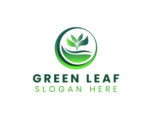 Nature Plant Leaf logo design