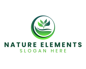 Nature Plant Leaf logo design