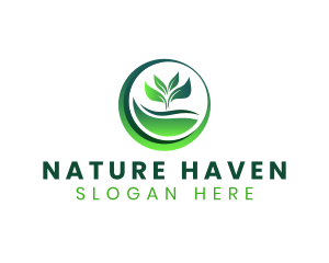 Nature Plant Leaf logo design