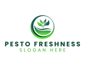 Nature Plant Leaf logo design