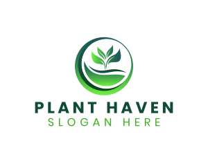 Nature Plant Leaf logo design