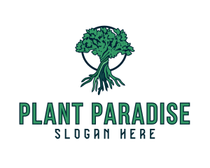 Natural Tree Plant  logo design