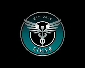 Healthcare Wings Caduceus Logo