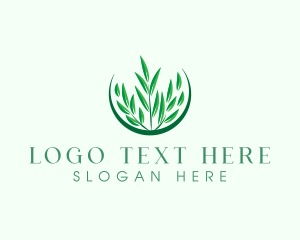 Grass Eco Nature logo