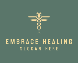 Caduceus Medical Healthcare logo