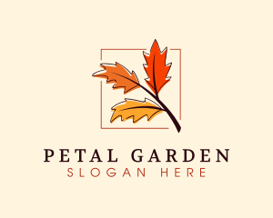 Autumn Season Leaves logo design