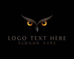 Night Owl Eyes logo