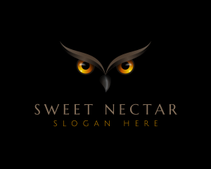 Night Owl Eyes logo design