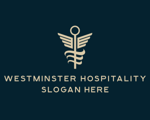 Medical Caduceus Hospital logo design