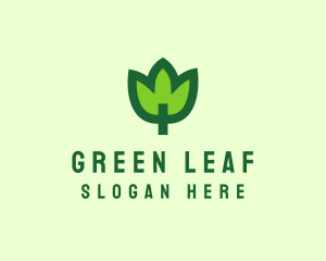 Green Eco Leaf logo design