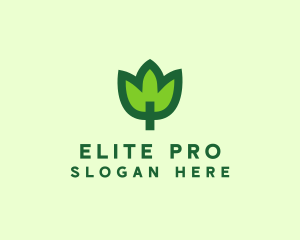 Green Eco Leaf logo design