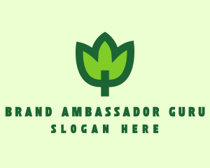 Green Eco Leaf logo design