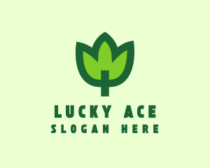 Green Eco Leaf logo design