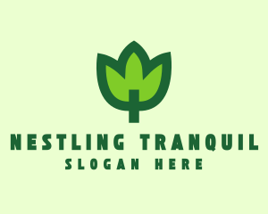 Green Eco Leaf logo design