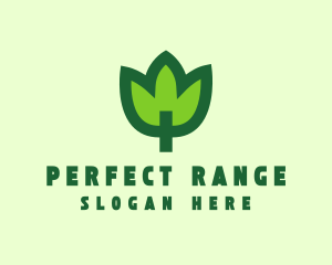 Green Eco Leaf logo design