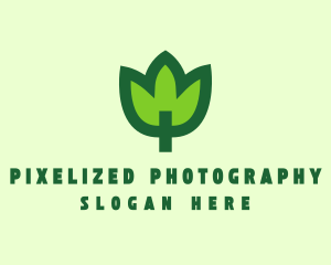 Green Eco Leaf logo design