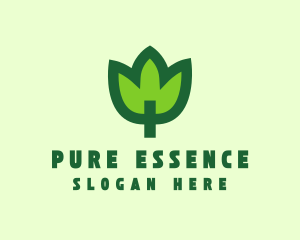 Green Eco Leaf logo design