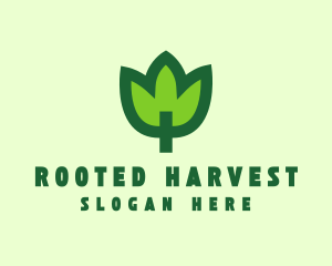 Green Eco Leaf logo design