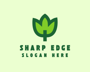 Green Eco Leaf logo design