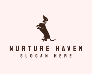 Dog Dachshund Vet Logo