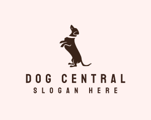 Dog Dachshund Vet logo design