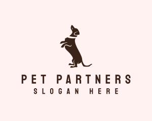 Dog Dachshund Vet logo