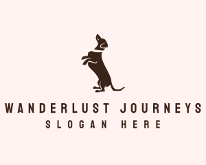 Dog Dachshund Vet logo
