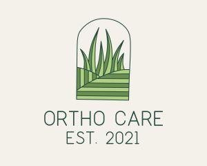 Field Lawn Care  logo design