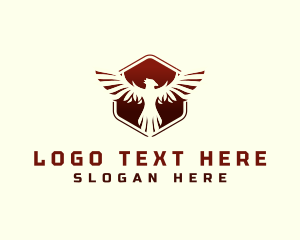 Hexagon Eagle Aviation Logo