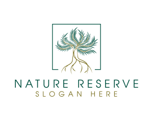 Nature Park Tree logo design