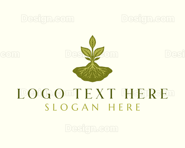 Plant Sprout Nature Logo