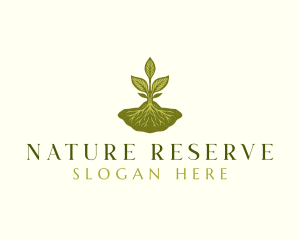 Plant Sprout Nature logo design