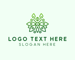 Eco Leaf Bug logo