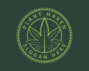 Cannabis Plant Drug logo design