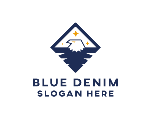 Diamond Blue Eagle logo design