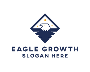 Diamond Blue Eagle logo design