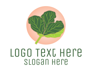 Fiddle Leaf Fig Plant  logo