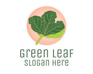 Fiddle Leaf Fig Plant  logo design