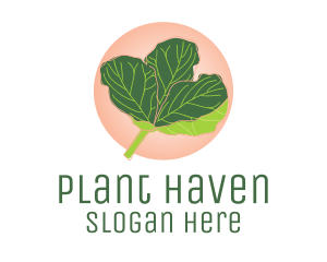 Fiddle Leaf Fig Plant  logo design