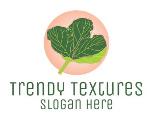 Fiddle Leaf Fig Plant  logo design