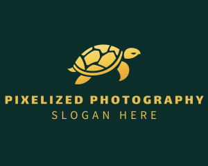 Gold Sea Turtle Animal logo design