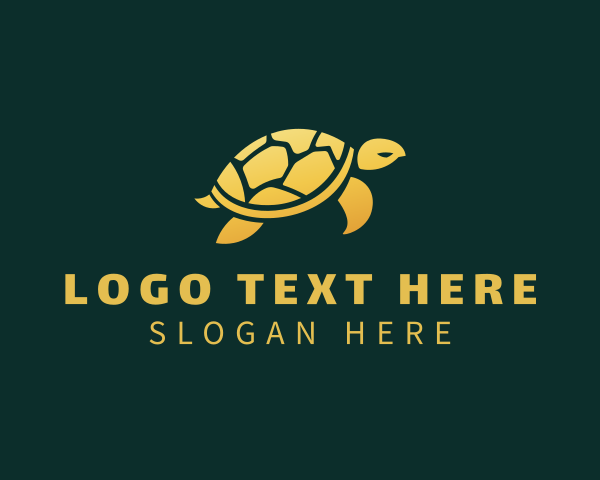 Turtle logo example 3