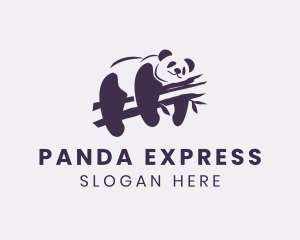 Wild Panda Bear logo design