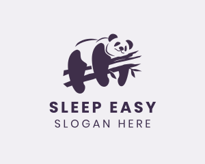 Wild Panda Bear logo design