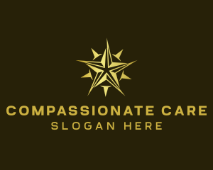 Star Compass Navigator logo design