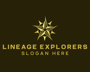 Star Compass Navigator logo design