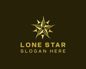 Star Compass Navigator logo design