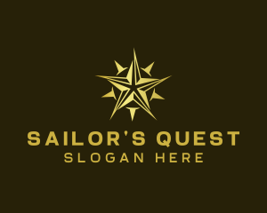 Star Compass Navigator logo design