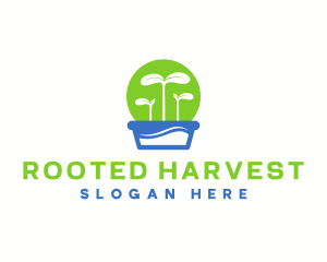 Plant Botanical Organic logo design