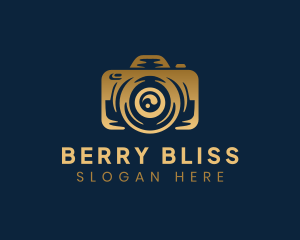 Picture Photo Camera logo design